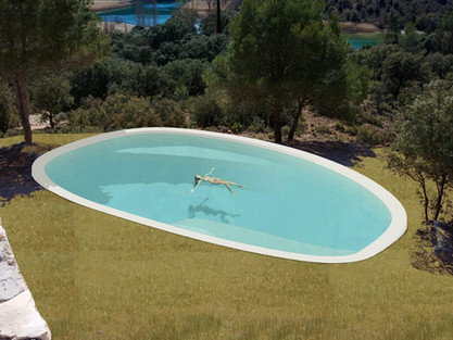 43f06c_603b40fb671144e3a98c6541e750b76a~mv2