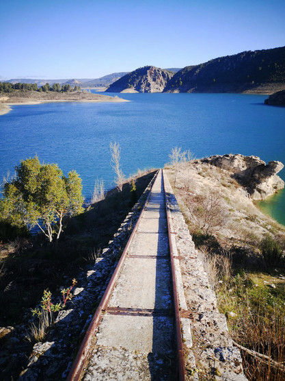 43f06c_90c52297929348b990068e471739ff16~mv2