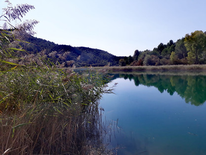 43f06c_c29370a3db4d421eb042aafad1352dc7~mv2