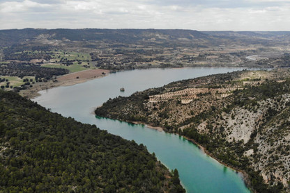 43f06c_d3bc4a1c2816427da51d38747ceb6a29~mv2