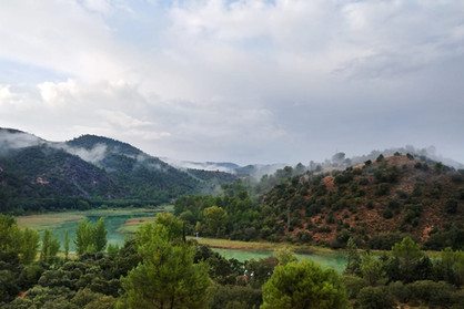 43f06c_d8284bfb78fb42b2aef3197cfd3d8673~mv2