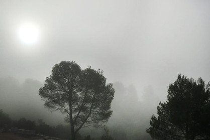 43f06c_da44485353cb445bb3f5d52eb4b10ec6~mv2