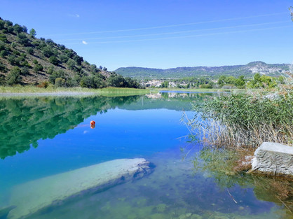 43f06c_faa53165041a4edb81a81de73915faf9~mv2